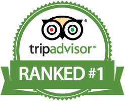 TripAdvisor Ranked #1